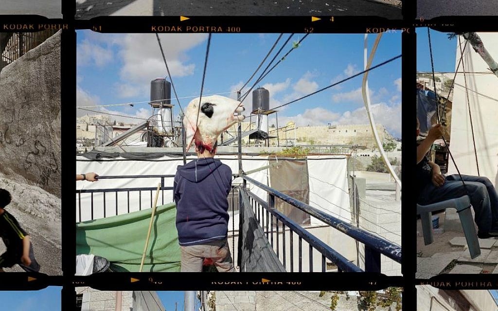 Peress, Gilles. This Place. Contact Sheet, Palestinian Jerusalem. Copyright Gilles Peress.