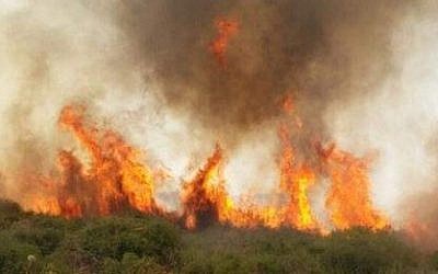 A brush fire near Beit Shemesh (Courtesy Fire and Rescue Authority)