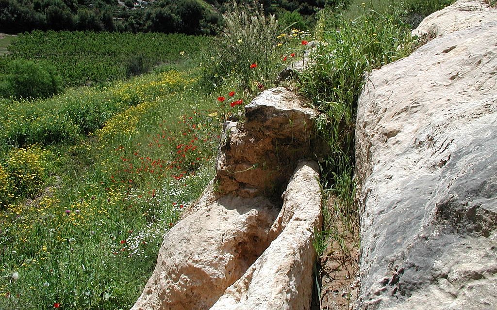 Canals at Ein Tzuba (photo credit: Shmuel Bar-Am) Canals at Ein Tzuba (photo credit: Shmuel Bar-Am)