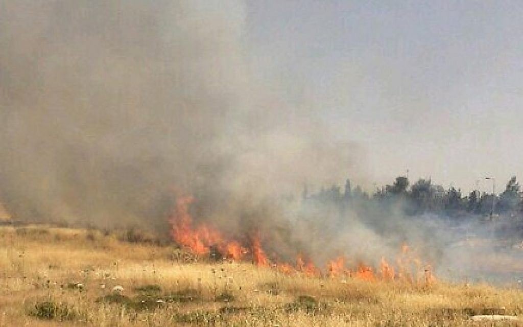 A fire near Jerusalem on Wednesday, May 27, 2015 (courtesy Fire and Rescue Authority) A fire near Jerusalem on Wednesday, May 27, 2015 (courtesy Fire and Rescue Authority)