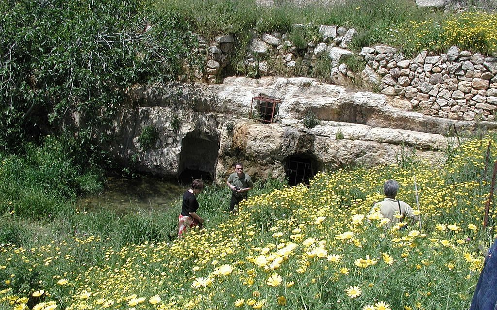 The cisterns at Ein Tzuba (photo credit: Shmuel Bar-Am) The cisterns at Ein Tzuba (photo credit: Shmuel Bar-Am)