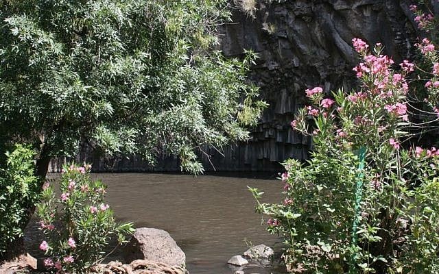The Hexagon pool (Shmuel Bar-Am)