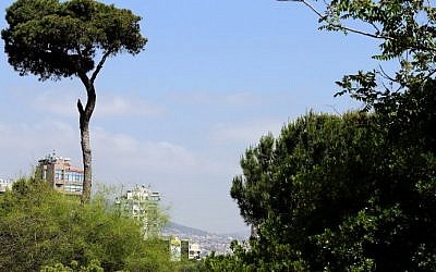View of the forest in the Lebanese capital, Beirut, May 21, 2015 (AFP / JOSEPH EID)