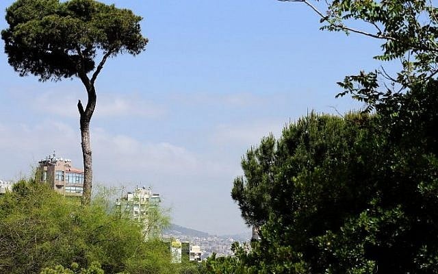 View of the forest in the Lebanese capital, Beirut, May 21, 2015 (AFP / JOSEPH EID) View of the forest in the Lebanese capital, Beirut, May 21, 2015 (AFP / JOSEPH EID)