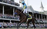 Jockey Victor Espinoza celebrates aboard American Pharoah after winning the 141st running of the Kentucky Derby horse race at Churchill Downs in Louisville, Ky, May 2, 2015 (AP/David J. Phillip, File)