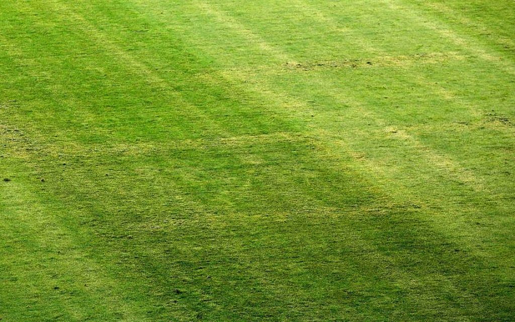 In this Friday, June 12, 2015 file photo, a big Nazi Swastika symbol is implanted on a grass pitch at a European soccer championship qualification game between Croatia and Italy, in Split, Croatia. (AP Photo/Darko Bandic, File)