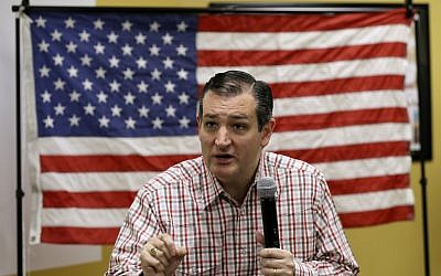 Republican presidential candidate Sen. Ted Cruz, R-Texas, speaks at the 'Celebrate the 2nd Amendment Event' in Johnston, Iowa, on June 20, 2015. (AP/Charlie Neibergall)