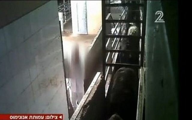 A metal gate moving cattle forward at the Deir al-Assad kosher meat factory in northern Israel (Channel 2 screenshot) A metal gate moving cattle forward at the Deir al-Assad kosher meat factory in northern Israel (Channel 2 screenshot)