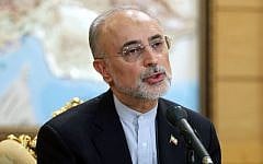 Head of Iran's Atomic Energy Organization Ali Akbar Salehi, who is also a member of Iran's nuclear negotiating team, speaks with journalists upon his arrival to Mehrabad Airport in Tehran, Iran, July 15, 2015. (AP/ Ebrahim Noroozi)