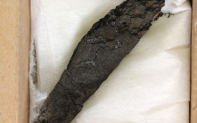 A scrap of a torched Torah scroll found near Ein Gedi (Courtesy)