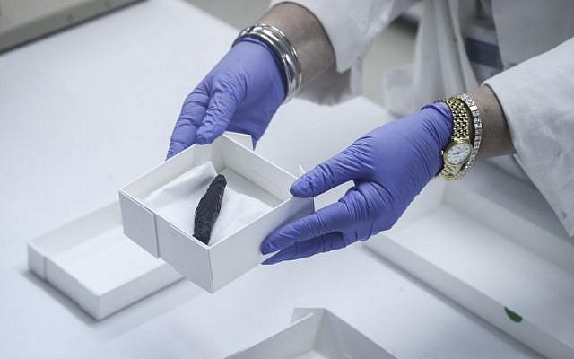 A scrap of a torched Torah scroll being shown by staff in a lab of the Israel Antiquities Authority on July 20, 2015. (Flash90) A scrap of a torched Torah scroll being shown by staff in a lab of the Israel Antiquities Authority on July 20, 2015. (Flash90)