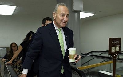 Sen. Charles (Chuck) Schumer, D-NY, on Capitol Hill in Washington, July 16, 2015 (AP/Susan Walsh)