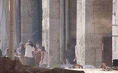 Palestinian rioters hurl rocks at Israeli Police in front of the al-Aqsa Mosque on the Temple Mount in Jerusalem on Sunday, July 26, 2015. (screen capture: Israel Police video)