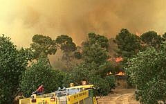 Firefighters tackle a massive wildfire in the Beit Shemesh area, July 24, 2015.  (Photo credit: Beit Shemesh Fire Department)