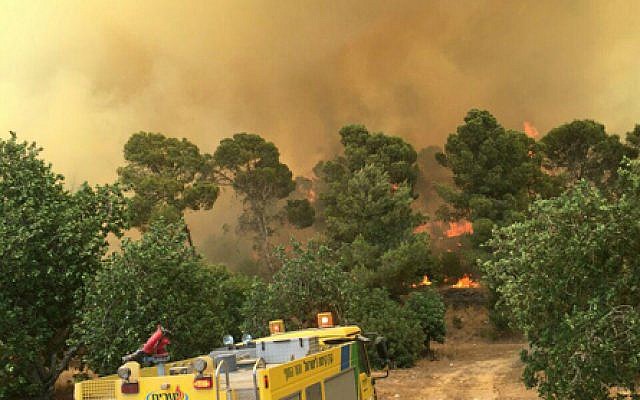Firefighters tackle a massive wildfire in the Beit Shemesh area, July 24, 2015. (Photo credit: Beit Shemesh Fire Department) Firefighters tackle a massive wildfire in the Beit Shemesh area, July 24, 2015. (Photo credit: Beit Shemesh Fire Department)