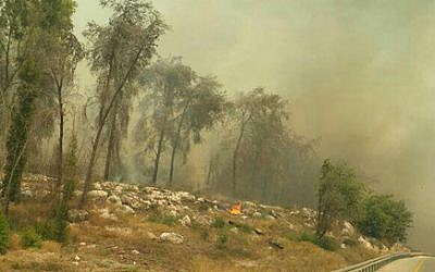 A massive wildfire rages in the Beit Shemesh area, July 24, 2015.  (Photo: Beit Shemesh Fire Department)