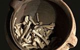 Chicken bones found at the archaeological sit at Marsha (Haifa University)
