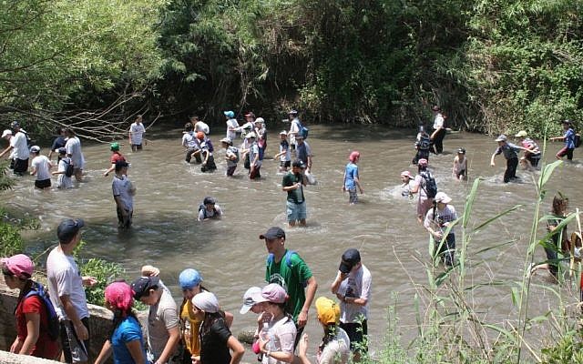 A water walk at the Majrase Nature Reserve near the Sea of Galilee. (Photo by Shmuel Bar-Am) A water walk at the Majrase Nature Reserve near the Sea of Galilee. (Photo by Shmuel Bar-Am)