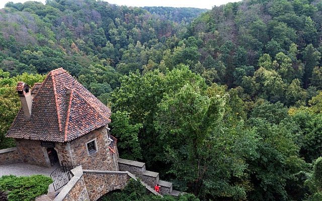 Part of the Ksiaz castle under which the 'Nazi gold train' is supposedly hidden underground is pictured, on August 28, 2015 in Walbrzych, Poland. (AFP PHOTO / JANEK SKARZYNSKI) Part of the Ksiaz castle under which the 'Nazi gold train' is supposedly hidden underground is pictured, on August 28, 2015 in Walbrzych, Poland. (AFP PHOTO / JANEK SKARZYNSKI)