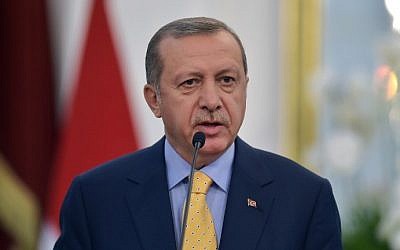 Turkey's President Recep Tayyip Erdogan speaks to journalists during a press conference at the presidential palace in Jakarta, July 31, 2015. (AFP/ADEK BERRY)