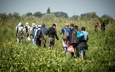 Migrants and refugees walk trough a field towards the Hungarian border near the northern Serbian town of Horgos on August 27, 2015. (AFP/ANDREJ ISAKOVIC)