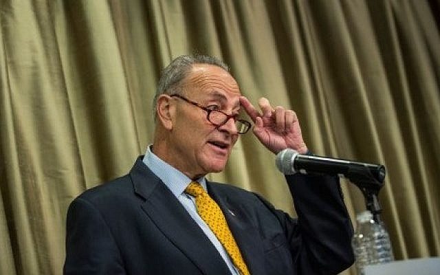 US Senator Chuck Schumer (D-NY) in New York City, August 11, 2015 (Andrew Burton/Getty Images/AFP)