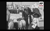 Bedouin shop for sheep during market day in Beersheba, 1957 (Screenshot of newsreel footage from YouTube)