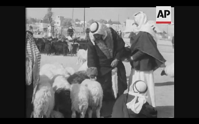 Bedouin shop for sheep during market day in Beersheba, 1957 (Screenshot of newsreel footage from YouTube)