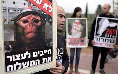 FILE: Activists of a Israeli animal rights organization hold placards as they protest against the intent to ship out few hundreds monkeys from the monkey farm for a medical research abroad, Mazor, Israel on December 19, 2014. (Tomer Neuberg/Flash90)