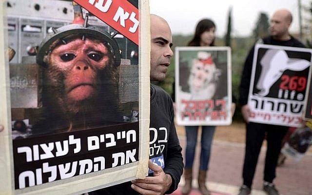 FILE: Activists of a Israeli animal rights organization hold placards as they protest against the intent to ship out few hundreds monkeys from the monkey farm for a medical research abroad, Mazor, Israel on December 19, 2014. (Tomer Neuberg/Flash90) FILE: Activists of a Israeli animal rights organization hold placards as they protest against the intent to ship out few hundreds monkeys from the monkey farm for a medical research abroad, Mazor, Israel on December 19, 2014. (Tomer Neuberg/Flash90)