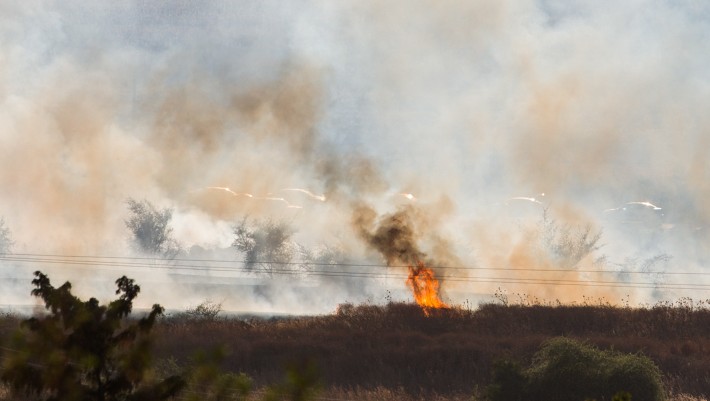 A large fire raging near Kfar Sold, caused by missiles fired from the Syrian side of the Israeli-Syrian border and hitting open areas in the Golan Heights in northern Israel on August 20, 2015. (Photo by Basel Awidat/Flash90) A large fire raging near Kfar Sold, caused by missiles fired from the Syrian side of the Israeli-Syrian border and hitting open areas in the Golan Heights in northern Israel on August 20, 2015. (Basel Awidat/Flash90)