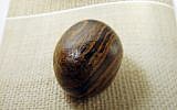 A picture of a smooth, brown, egg-sized rock is shown in the printer's manuscript of the Book of Mormon following a news conference Tuesday, Aug. 4, 2015, at the Church of Jesus Christ of Latter-day Saints Church History Library, in Salt Lake City. (AP/Rick)