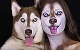 Makeup artist Ilana Kolihanov and her dog Ivy (YouTube screen grab)