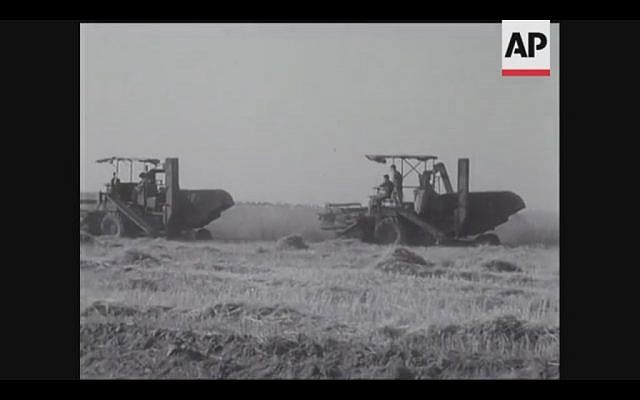 Combines roll through the fields as Israel harvests its first crops from the Negev in 1956 (Screenshot of newsreel footage from YouTube) Combines roll through the fields as Israel harvests its first crops from the Negev in 1956 (Screenshot of newsreel footage from YouTube)