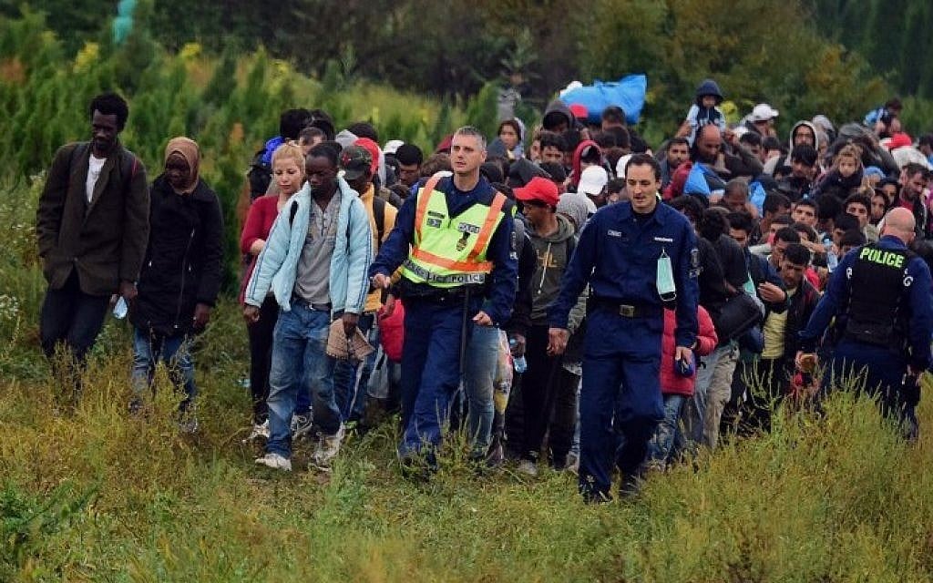 Police escort migrants after they crossed the border near the village of Zakany in Hungary to continue their trip to Germany on September 20, 2015.  (Attila Kisbenedek/AFP)