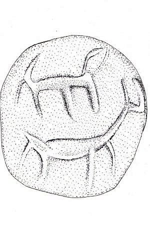 Drawing of details from a cone-shaped seal found in rubble excavated from the Temple Mount believed to date to around the 10th century BCE (Razia Richman, Temple Mount Sifting Project) Drawing of details from a cone-shaped seal found in rubble excavated from the Temple Mount believed to date to around the 10th century BCE (Razia Richman, Temple Mount Sifting Project)