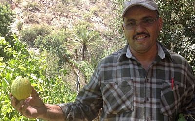 A man holding an etrog in Morocco. (Ben Sales/JTA)