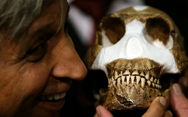 Professor Adam Habib holds a reconstruction of Homo naledi presented during the announcement made in Magaliesburg, South Africa, Thursday, Sept. 10, 2015. (AP Photo/Themba Hadebe)