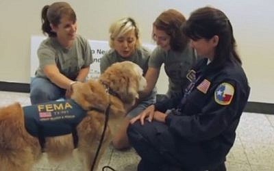 9/11 rescue dog Bretagne and handler Denise Corliss are welcomed at LaGuardia airport in New York on September 11, 2015. (screen capture: Sky News)  