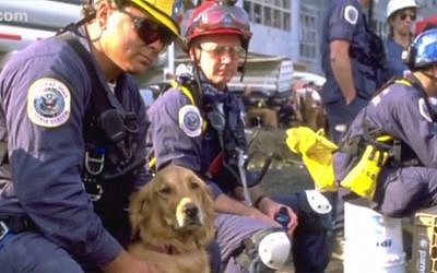 9/11 rescue dog Bretagne and her handler Denise Corliss working in New York in the aftermath of the September 11, 2011 attacks. (screen capture: Sky News) 