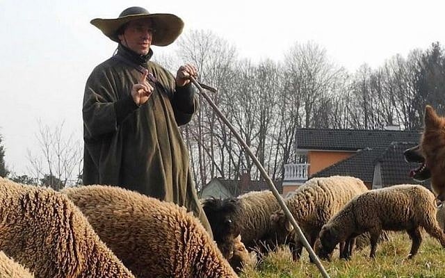 Hans Breuer at his pasture near Vienna, March 2015. (Courtesy of Hans Breuer/via JTA)