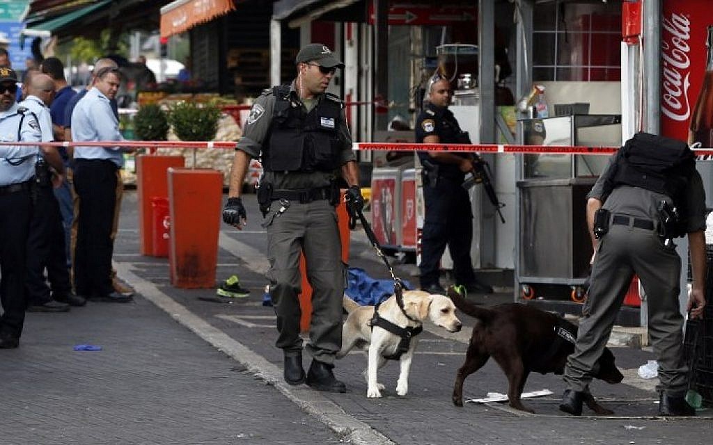 Israeli security forces use specially trained dogs to search the area where a Palestinian man carried out a stabbing attack near the Old City of Jerusalem on October 10, 2015 (Ahmad Gharabli/AFP)