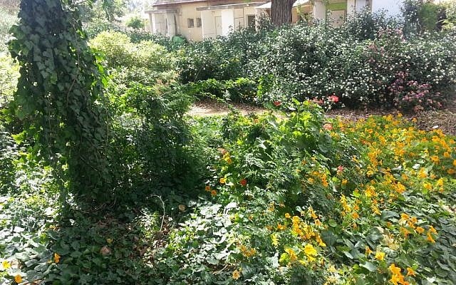 Kibbutz Nahal Oz, on the border of the Gaza Strip (Amir Tibon/Times of Israel)