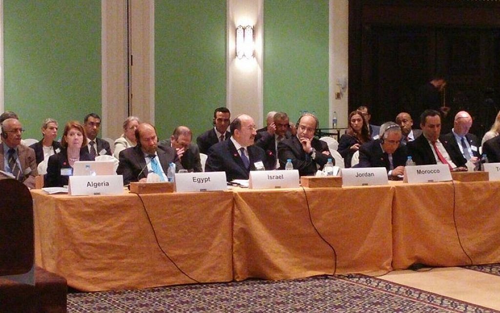 Foreign Ministry Director General Dore Gold at the Organization for Security and Co-operation in Europe's meeting in Amman, Jordan, on October 20 2015. (Foreign Ministry)