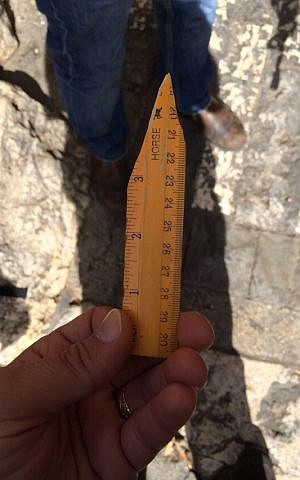 Israel Police detectives find a ruler that had been sharpened into a shank during the arrest of a 15-year-old East Jerusalem resident who had been 'suspiciously' following police officers in the Old City of Jerusalem on Oct. 27, 2015. (Israel Police)