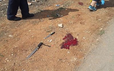 The weapons used in the stabbing attack in Kiryat Arba, near Hebron in the West Bank, on Friday, October 9, 2015 (Israel Police)