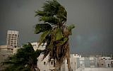 Heavy rain and strong winds as a thunderstorm hits Tel Aviv, on October 25, 2015. (Ben Kelmer/Flash90)