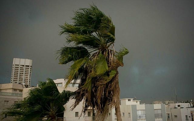 Heavy rain and strong winds batter Tel Aviv, October 25, 2015. (Ben Kelmer/Flash90)