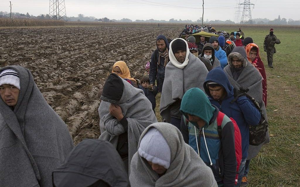 Migrants make their way through a field after crossing from Croatia, in Rigonce, Slovenia, Sunday, Oct. 25, 2015. (AP Photo/Darko Bandic)