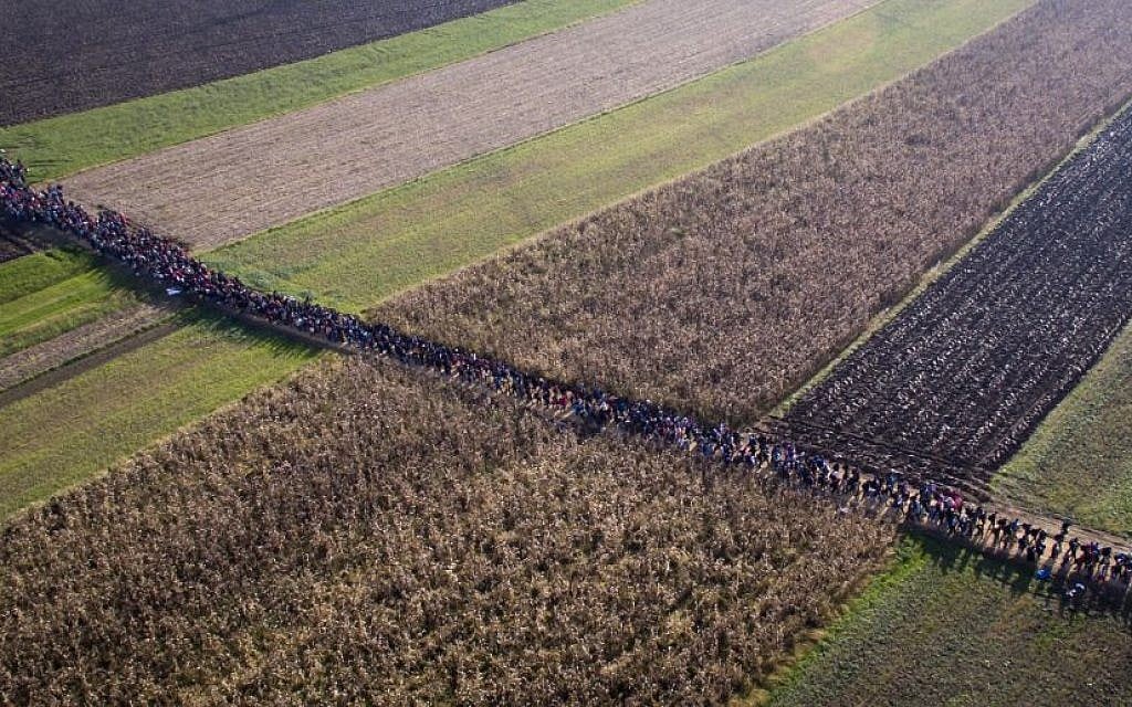 In this aerial view photo, a column of migrants moves through fields after crossing from Croatia, in Rigonce, Slovenia, Sunday, Oct. 25, 2015. Thousands of people are trying to reach central and northern Europe via the Balkans, but often have to wait for days in mud and rain at the Serbian, Croatian and Slovenian borders. (AP Photo/Darko Bandic)